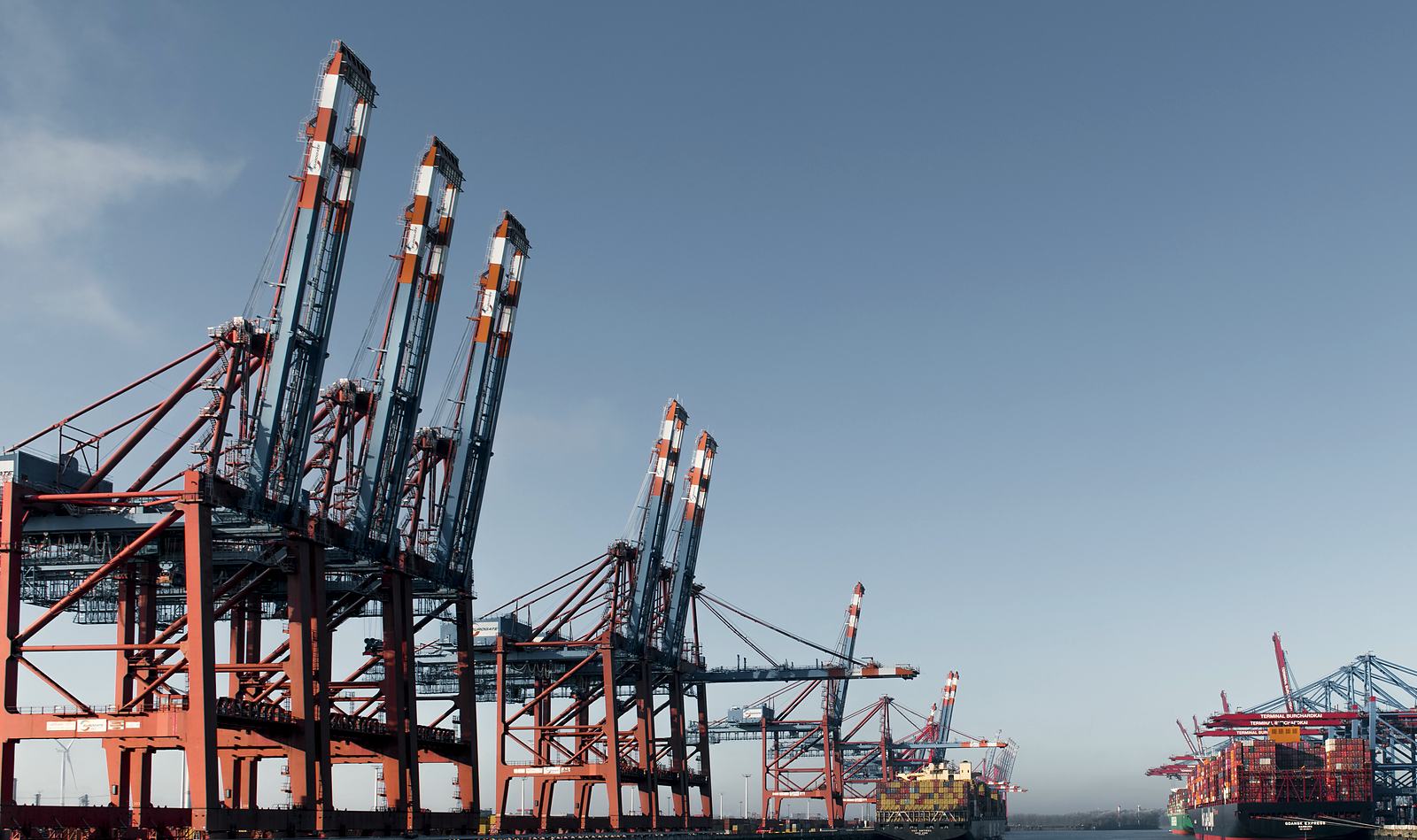 Container-terminal cranes at a harbour under a clear blue sky.